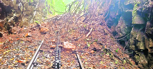 నీలగిరుల్లో కుండపోత 1