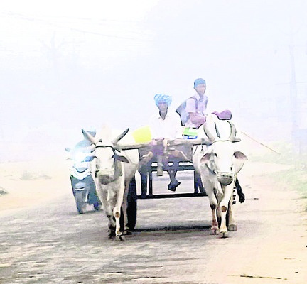 మంచుకురిసే.. మనసు మురిసే1
