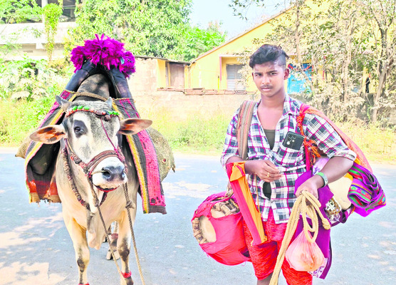 జాడ లేని డూడూ బసవన్నలు 1