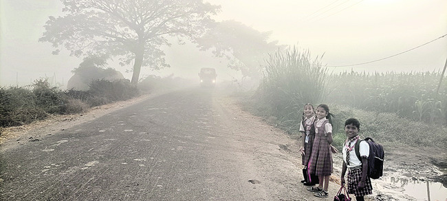 మంచు దోచిన జీవన అందాలు2