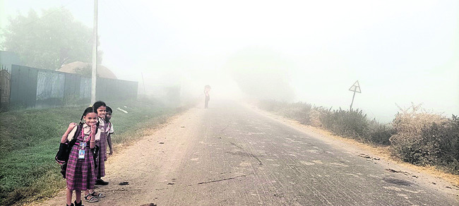 మంచు దోచిన జీవన అందాలు3