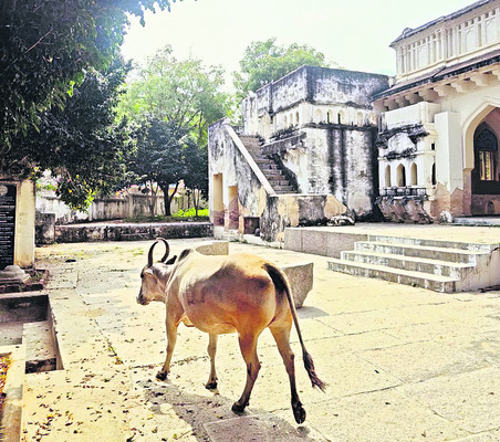 మసకబారుతున్న రాయల వైభవం 3
