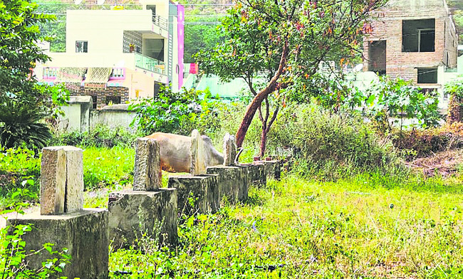 మసకబారుతున్న రాయల వైభవం 1