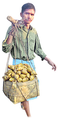 పసుపు ధర ఢమాల్‌ 1