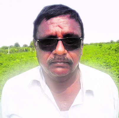 టమాట.. రైతుకు ఊరట 1