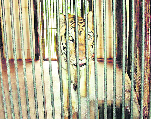 ఏఆర్‌సీ ఖాళీ2