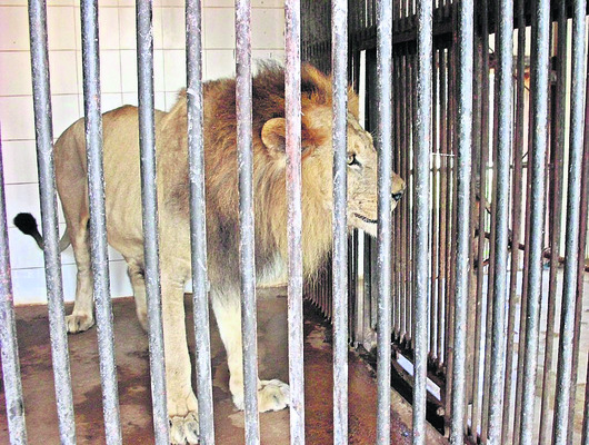 ఏఆర్‌సీ ఖాళీ1