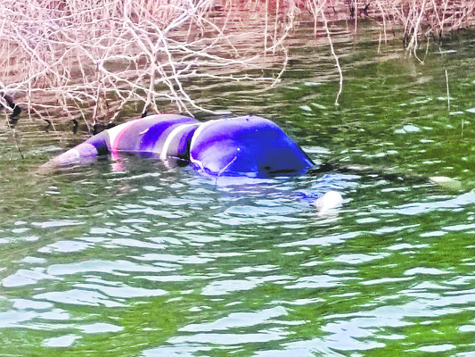 గల్లంతైన వ్యక్తి మృతదేహం లభ్యం 1