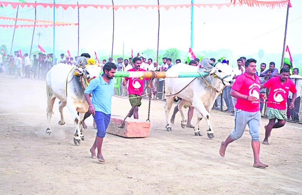 సాగర్‌లో శ్రీలంక మీడియా ప్రతినిధులు 2
