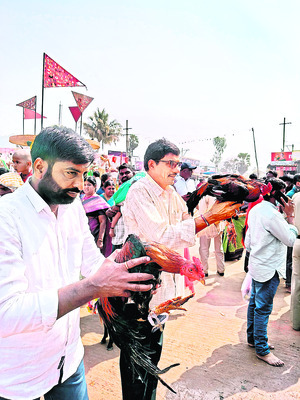 వరాలతల్లులకు తీరొక్కమొక్కులు..1