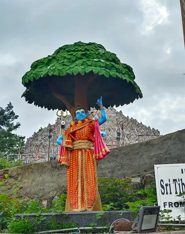 Sri Pahadi Hanuman Mandir Secunderabad, Telangana19