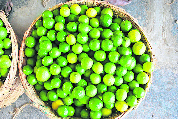 గుంటూరు3