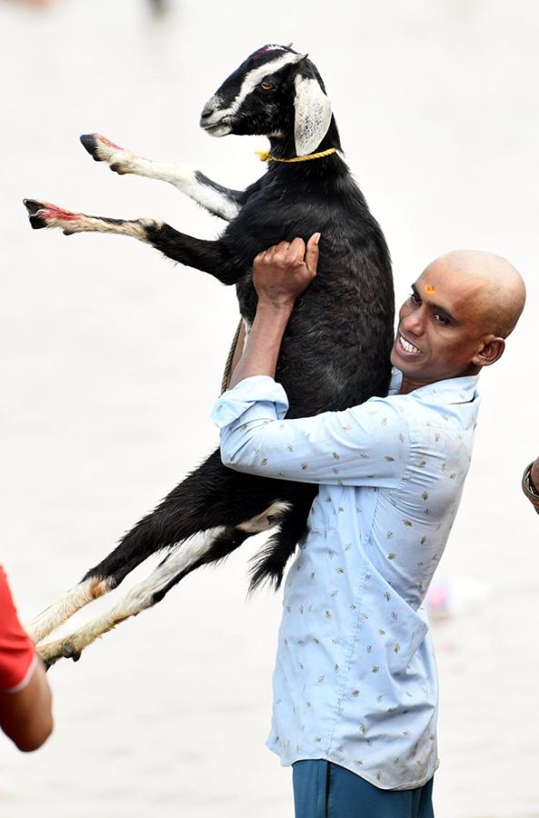 medaram sammakka sarakka jatara 2026 HD Photos5