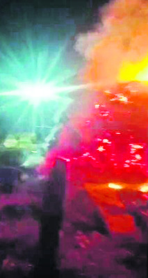 అలసంద పంటకు నిప్పు 1