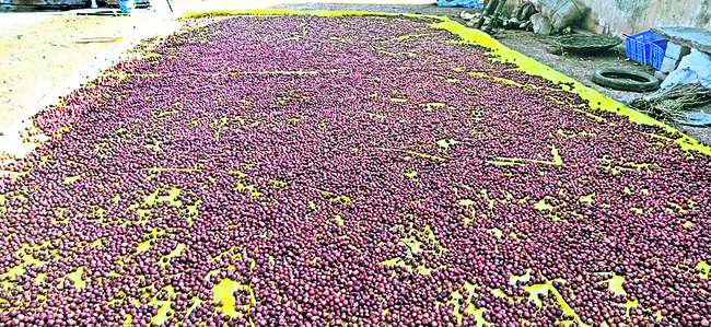 నిలదొక్కుకున్నాం 1