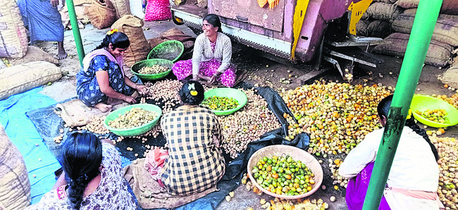 నిలదొక్కుకున్నాం 2