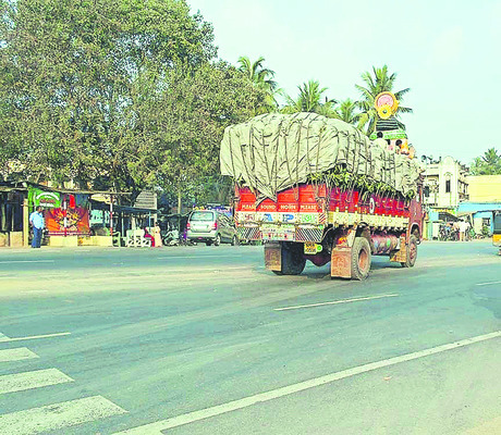 అరటి.. అధరహో2