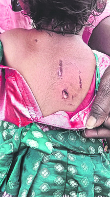 పిచ్చికుక్క స్వైరవిహారం 1