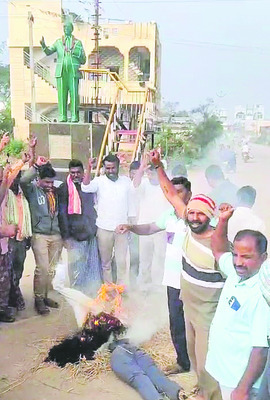 సాగులో సస్యరక్షణ తప్పనిసరి 2