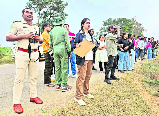 పులికాట్‌లో పక్షుల గణన 1