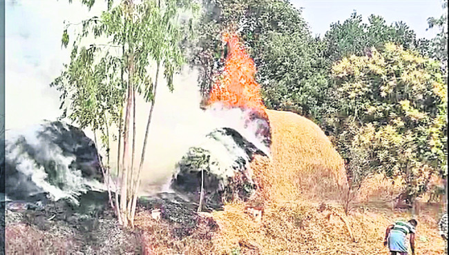 వైఎస్సార్‌సీపీ రాష్ట్ర విభాగాల్లో ముగ్గురికి చోటు 1