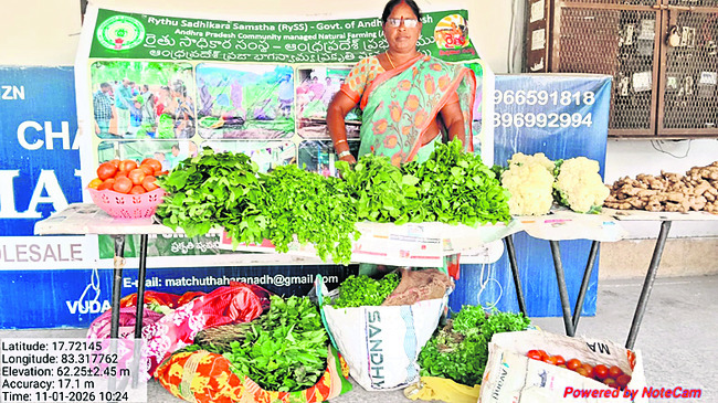 సాగులో లక్ష్మీకటాక్షం1