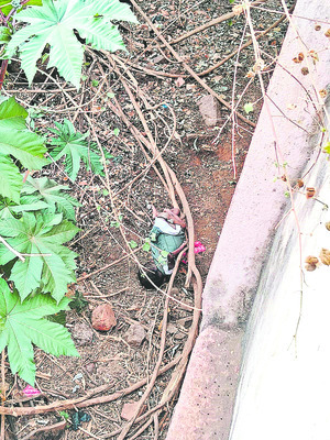 ముళ్ల పొదల్లో పసికందు మృతదేహం 
1