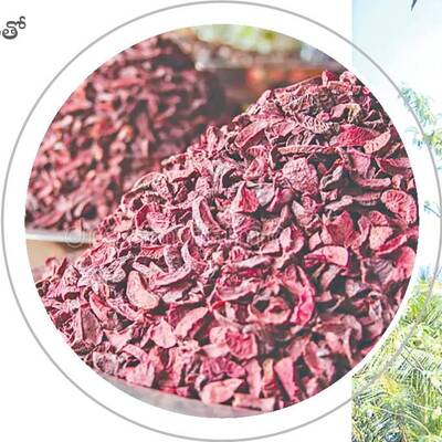 నిలదొక్కుకున్నాం 3