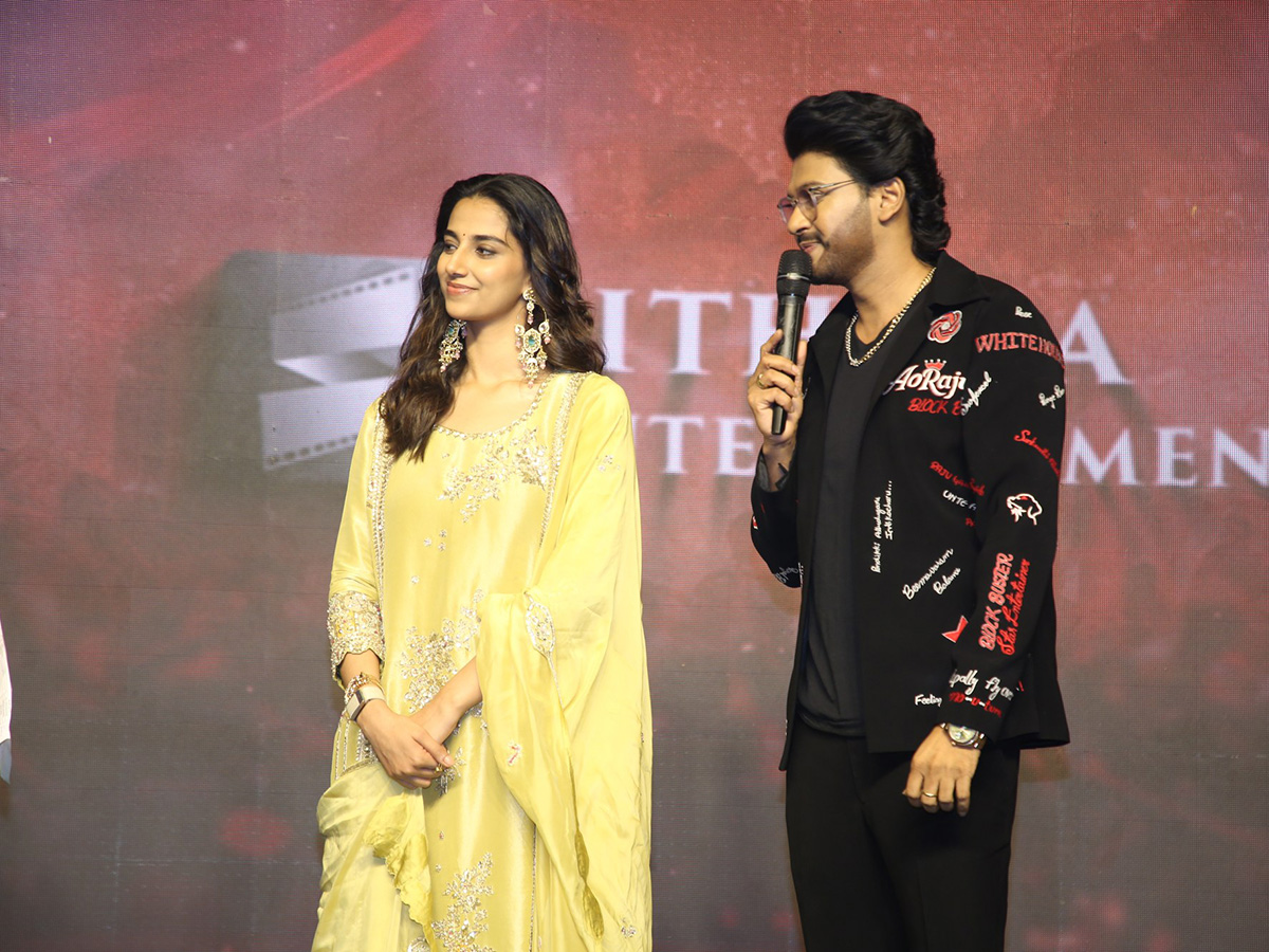 Anaganaga Oka Raju Sankranthi Blockbuster Success Celebrations18