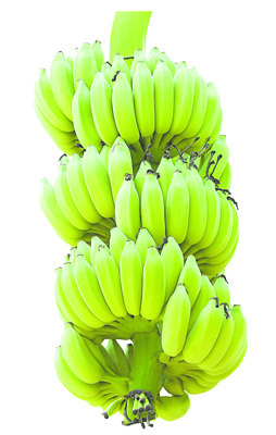 అరటి.. అధరహో3