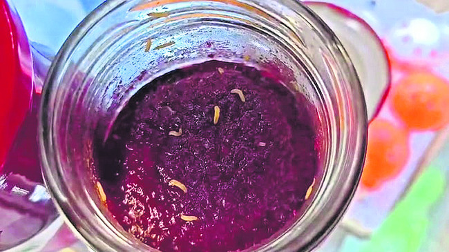 అంబామఠ జాతరకు  సీఎం శ్రీకారం 1