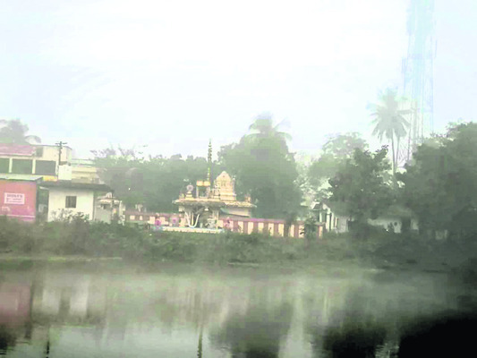 కమ్మేసిన పొగమంచు 1