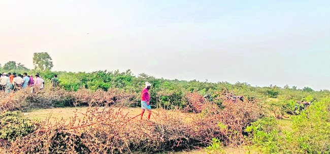 పడగ విప్పిన పందేలు1