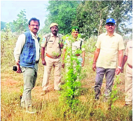 పెద్దమ్మతల్లి ఆలయంలో చండీహోమం2