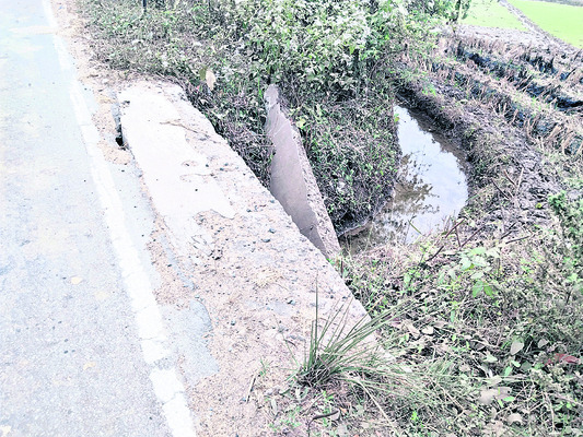 ఇకనైనా మేల్కొంటారా..?1