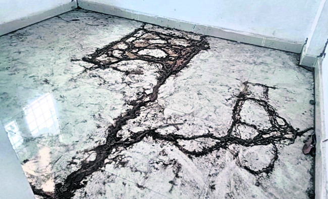 ఇల్‌నెస్‌ కేంద్రం!2