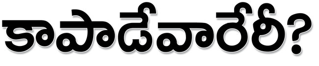  బసవయ్యపాళెంలోనే 80 గోవులు మాయం1