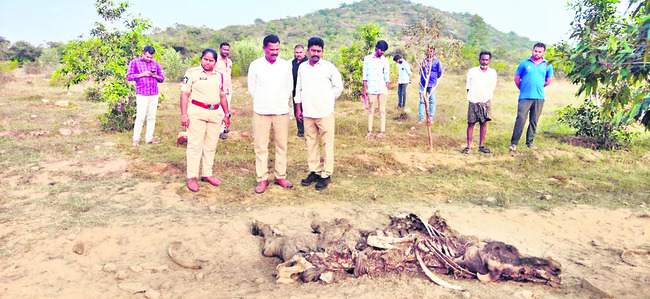 రేపట్నుంచి ఎఫ్‌ఏ – 3 పరీక్షలు 2