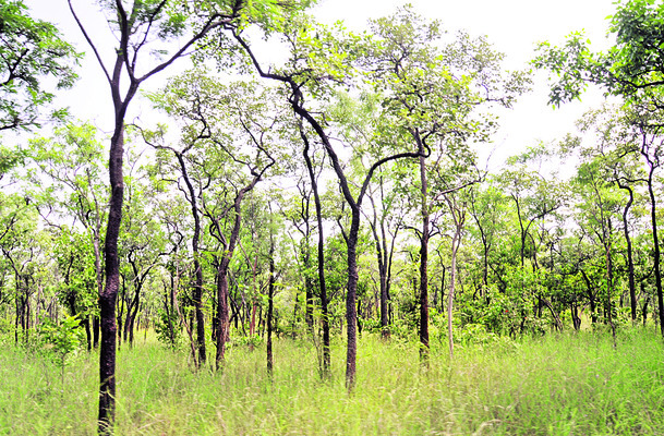 ● తగ్గనున్న ప్రాముఖ్యత 1