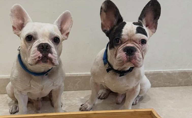 India T20 captain Suryakumar wife shares sweet moments from the year 2025 Photos4