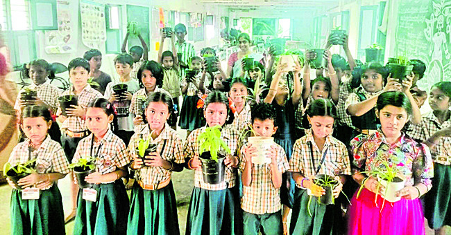 దేశీయ కూరగాయల సాగులో భేష్‌1