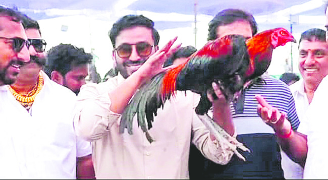 రీల్స్‌ చూపిస్తా మామ..3