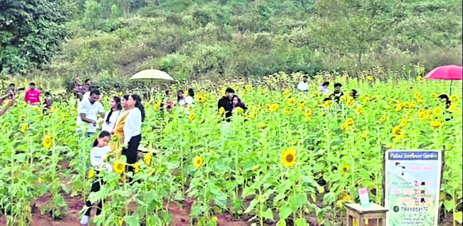 కిక్కిరిసిన చెరువులవెనం1