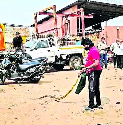 బుడతల యోగా విన్యాసాలు 1