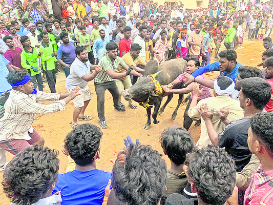 ఉరకలేసిన ఉత్సాహం 2