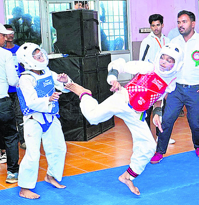 ధాన్యం లోడ్‌తో వెళ్తున్న వ్యాన్‌ బోల్తా 1