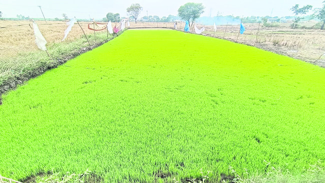 ‘రైతుభరోసా’ అందేనా..? 1