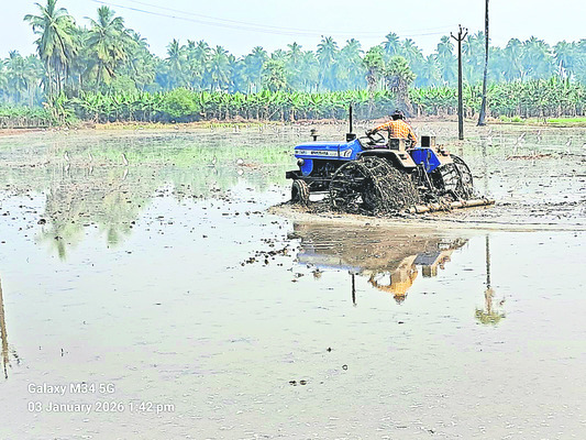 నాట్లు.. పాట్లు..2