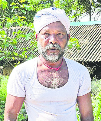 నాట్లు.. పాట్లు..5