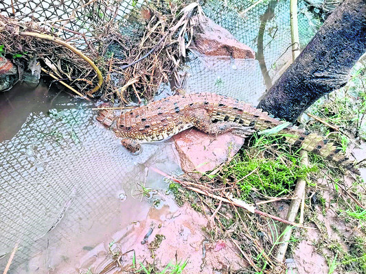 దరఖాస్తుల ఆహ్వానం1